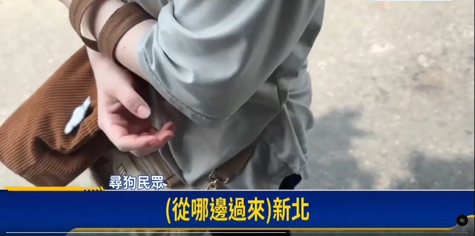 甚至有民眾從新北下來找狗