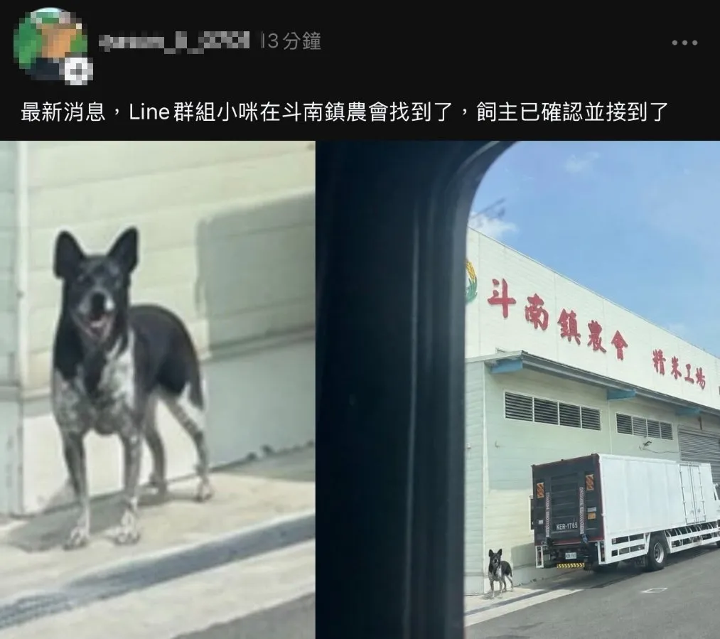 陳美琪找到假消息ai合成圖