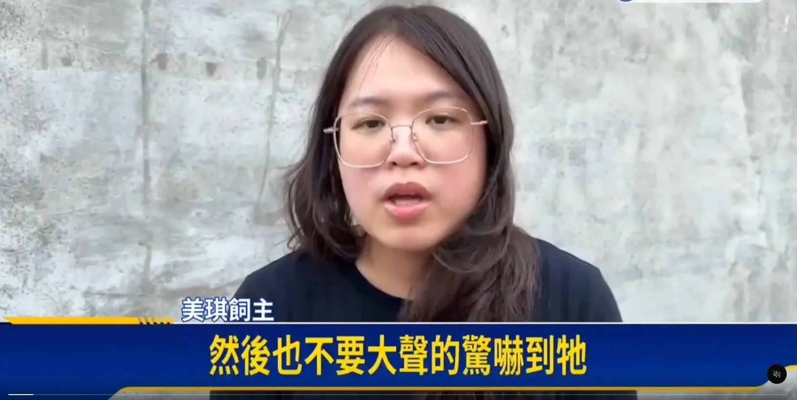 陳美琪的飼主