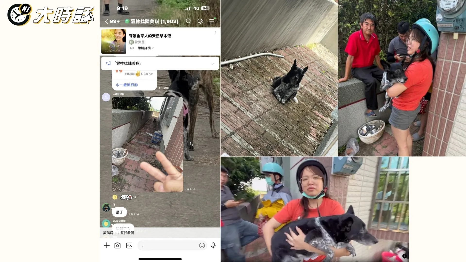 飼主在今日2025年5月26日已成功找回美琪